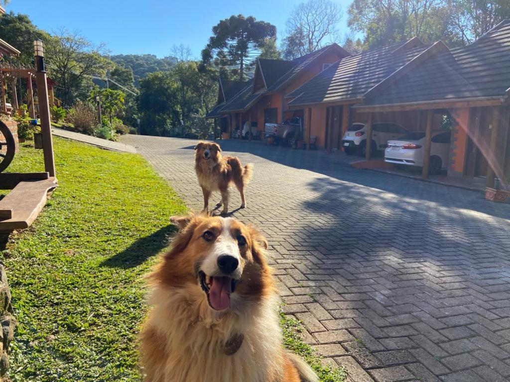 Maibe Amanhecer Na Serra Inn 3*