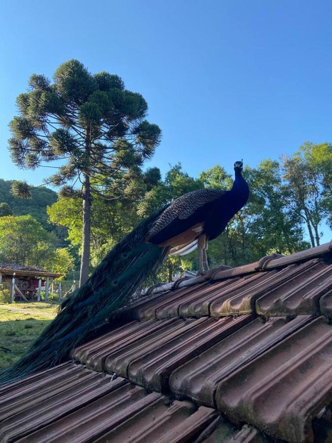 Maibe Amanhecer Na Serra Inn
