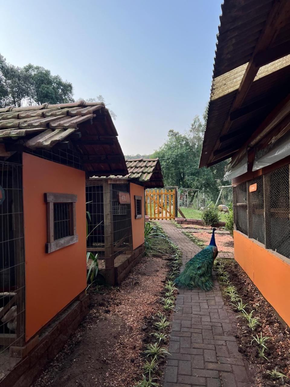 Maibe Amanhecer Na Serra Inn 3*